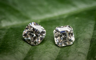 Two clear, loose sparkling gemstones resting side by side on a textured green leaf.