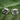 Two clear, loose sparkling gemstones resting side by side on a textured green leaf.