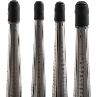 Close-up comparison of four ring size scales showing US, HK, JP, and European sizing standards.